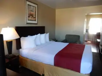 Citilodge Suites & Motel 5